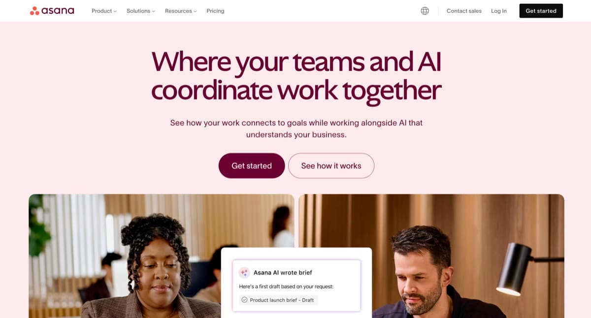 Asana screenshot - Productivity interface and features overview