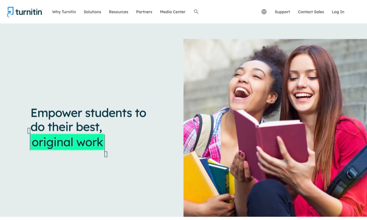 Turnitin screenshot - Writing interface and features overview
