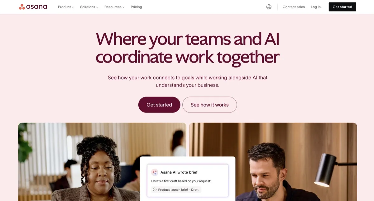 Asana screenshot - Productivity interface and features overview